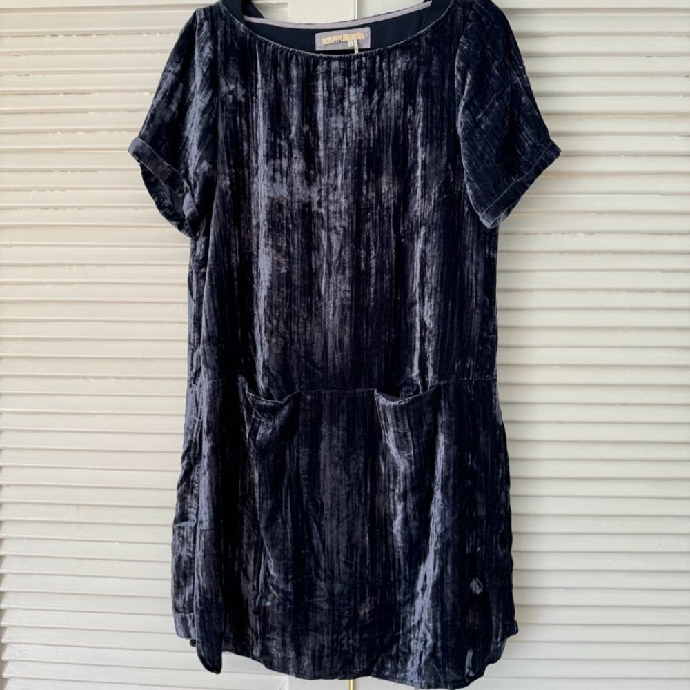 Crinkle Velvet Dress